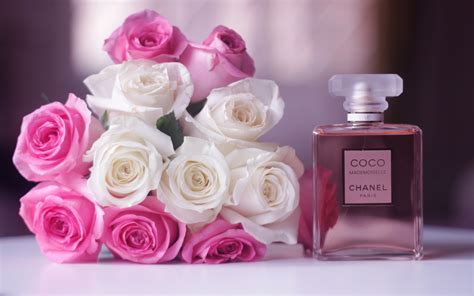 belles roses chanel fond d'écran|Fonds d'écran Chanel Coco Mademoiselle HD .